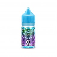 Matata Iced SALTS - Twelve Monkeys E-Liquid