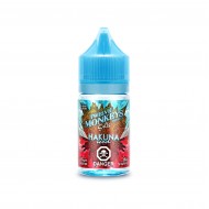 Hakuna Iced SALTS - Twelve Monkeys E-Liquid