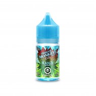 Kanzi Iced SALTS - Twelve Monkeys E-Liquid