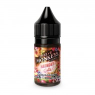 Harmony Oasis SALT - Twelve Monkeys E-Liquid