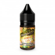 Wonder Oasis SALT - Twelve Monkeys E-Liquid